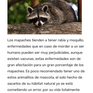 Meet your Posher, Dania